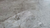 Кварцевый ламинат Fargo 67S455 Платиновый Агат, Stone