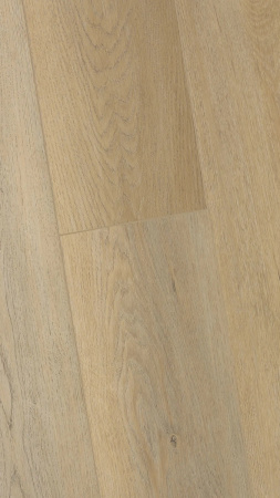 SPC ламинат FirstFloor Молочный дуб сканди 1F016