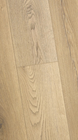 SPC ламинат FirstFloor Кавказский натуральный дуб 1F024