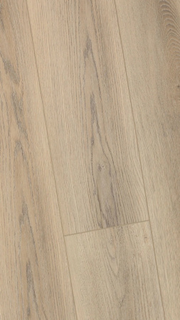 SPC ламинат FirstFloor Белый дикий лес 1F001