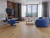 SPC ламинат NatisSton Begna 5001-10, Leger