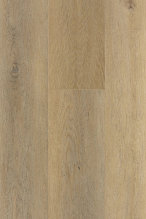 SPC ламинат FirstFloor Молочный дуб сканди 1F016