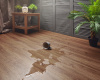 WPC ламинат Aquafloor AF6051, RealWood Click