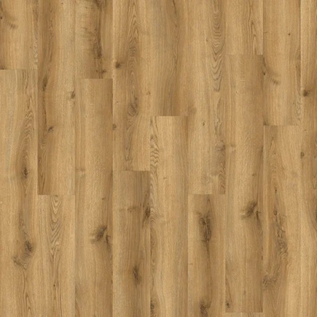 SPC ламинат Adelar Traditional Oak 03826, Solida