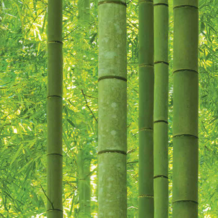      Shinhan 88423-1 Sunshine bamboo, Natural 1.0615.6