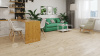 Ламинат Alpine Floor LF100-02 Дуб Салерно, Aura